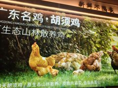 -野·大山里野生菌石锅土鸡(益田假日店)