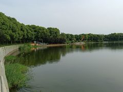 -美兰湖景区