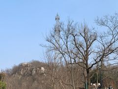 -紫金山山顶公园