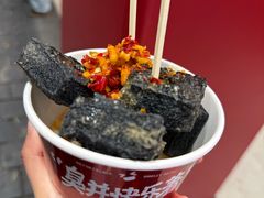 -黑色经典臭豆腐·湖南特产(坡子街店)