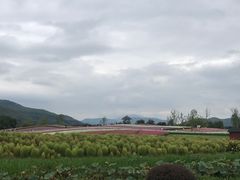 -径山花海