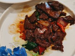 -新雅粤菜馆(南京东路店)