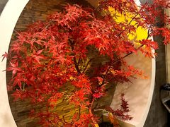 -金狮麟·新豫菜(金码大厦店)