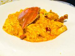 -连鹭海鲜·海肠捞饭·海胆饭(星海店)