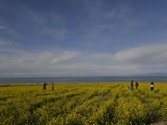-青海湖国家重点风景名胜区售票处