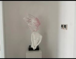 -韩静美科技护肤抗衰中心