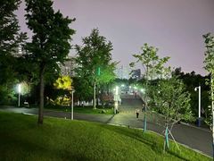 -大宁公园