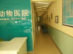 -美迦爱-牙专科·兔科·骨科诊疗中心(北苑店)