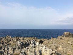 -龙坑生态保护区