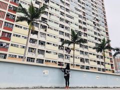 -彩虹村