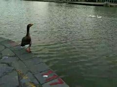 -红栌温泉山庄生态美食餐厅