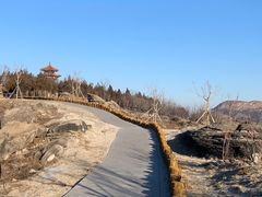-白水寺森林公园