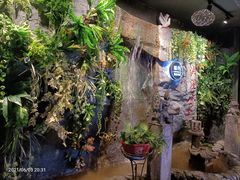 门面-嫩芽·重庆菜馆(十八梯露台观景店)