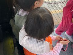 -武汉紫薇都市田园