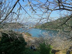 -广州市流溪河国家森林公园