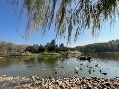 -北京野生动物园