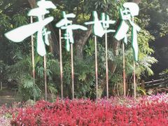-青青世界