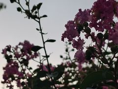 -泰合玺·精油疗愈 SPA(南京河西万达店)