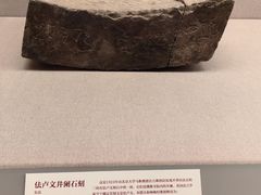 -北京大学赛克勒考古与艺术博物馆