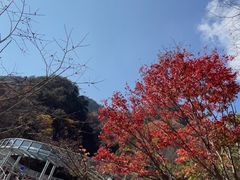-明堂山风景区