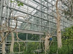 -南山植物园