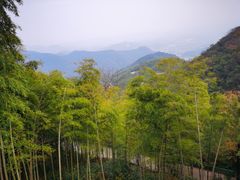 -莫干山风景区