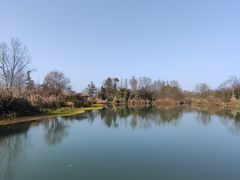 -桤木河湿地公园