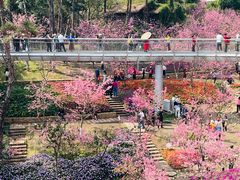 -狐尾山公园
