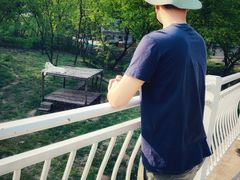 -青岛森林野生动物世界