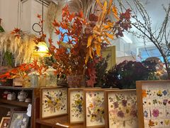 -知物癖(牛王庙店)