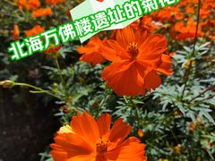 -北海公园