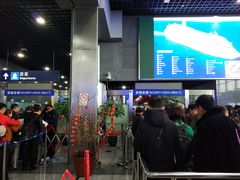 -吴淞口国际邮轮码头-停车场