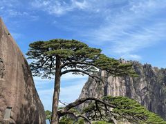 -黄山风景区