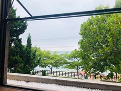 景观位-Vanilla Specialty Coffee(八大关店)