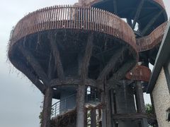 -芒洲湿地公园