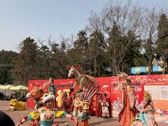 -南京银杏湖乐园