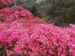 -木兰云雾山