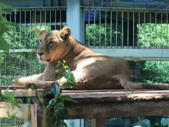 -昆明动物园