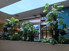 -悦海·家宴·冰花皮皮虾大锅贴(宝龙店)