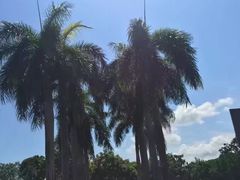 -麦哲伦丝绸度假村