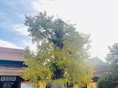 -圆通寺