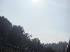 -青龙山国家森林公园