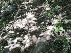 -丹东市五龙山风景区