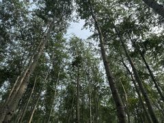 -仁和公园(顺义区)