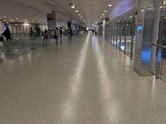 -上海浦东国际机场-T2航站楼