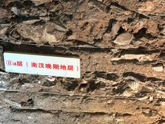 -南越王博物院(王宫展区)