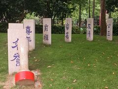 -陈家山荷花公园