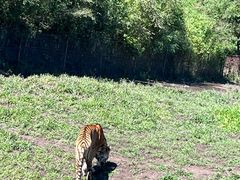 -沈阳森林动物园