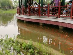 -西海子公园