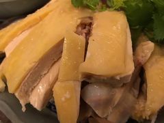 -九斤黄三黄鸡专卖店